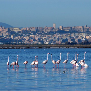 Cagliari - Italia